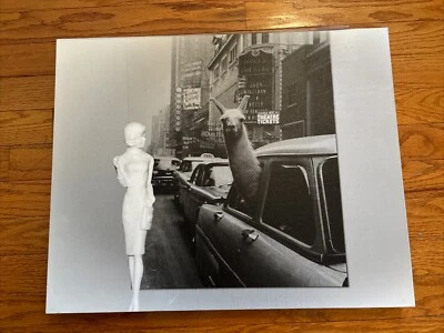 Collage de fotos de lienzo de galería 16x20 medios mixtos arte de pared único en su clase  Foto 1 de 4