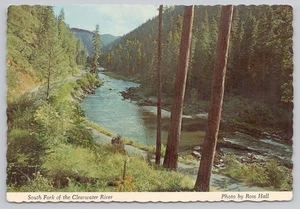 South Fork Clearwater River Idaho ID Vintage Scenic Postcard Trees Mountains - Picture 1 of 2
