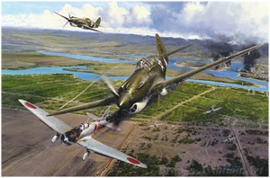 NEW CAROUSEL 1 1:48 scale DIECAST USAAF P-40B 2ND LT GEORGE WELCH PEARL HARBOR - Picture 1 of 10