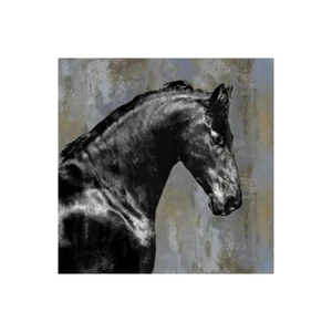 Stampa su Tela su Carta Poster o Quadro Rose Martin Black Stallion - Picture 1 of 2