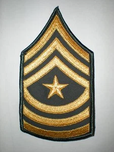 SARGENTO MAYOR DEL EJÉRCITO DE ESTADOS UNIDOS RANGO E-9 - VERDE EJÉRCITO - 1 PAR - Imagen 1 de 1