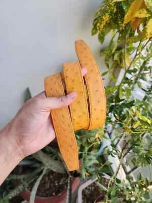 Cinturón para hombre, cinturón de piel de cuero genuino de pierna de avestruz, cinturón tostado avestruz, hecho a mano Foto 1 de 4