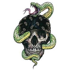 Aufkleber Schlangen Totenkopf Bandana 9 x 6 cm Snake Skull Mini Decal Sticker - Picture 1 of 1