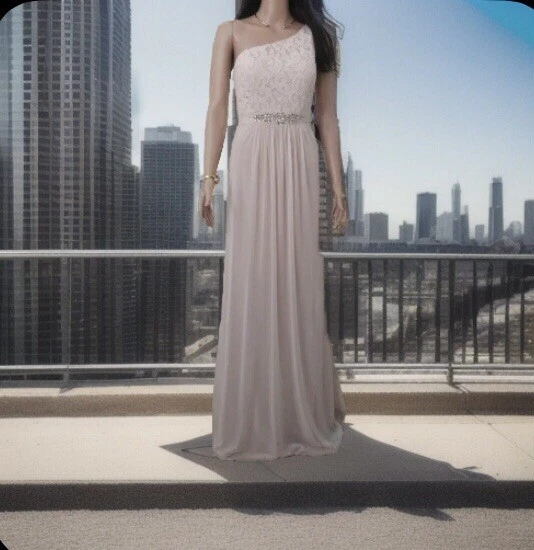 Adrianna Papell Womens Pink One Shoulder Lace Evening Dress Gown 6 BHFO 0888