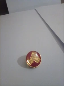 Vintage Temple University Emaille Metall Pin KOSTENLOSER VERSAND - Bild 1 von 2