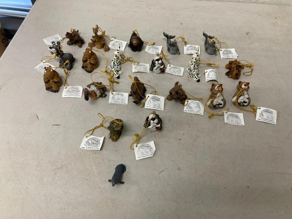 Gran Lote del Grupo Encore - BESTIAS DEL REINO - John Raya Foto 1 de 4