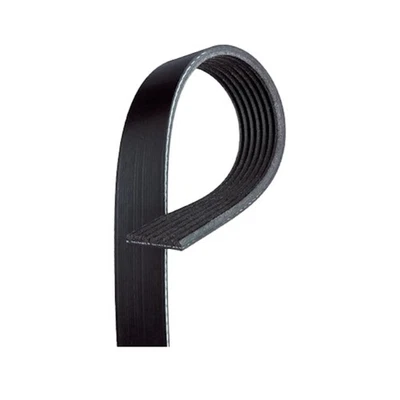 Cinturón Serpentine ACDelco Original Para Toyota RAV4 2006-2012 | Negro | 7 Costillas Foto 1 de 4