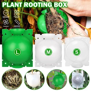 1-10X NEW Plant Rooting High Pressure Propagation Ball Root Grow Grafting Box US - Picture 1 of 36