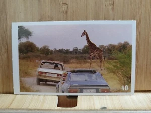 TOP GEAR Great Adventures ๐2015 #40 Sticker ๐FREE POST - Picture 1 of 1