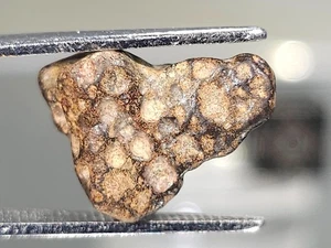 NWA 15553 CV3 1,27g Meteorite carboniosa ciottolo datato 4,5+ byo, basso TKW - Foto 1 di 8