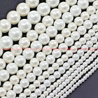 6,8,10,12,14,16,18,20mm White Shell Pearl Round Loose Beads 15"