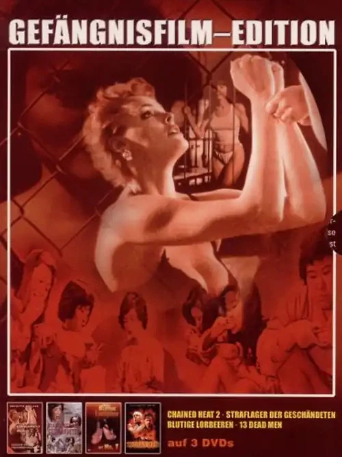 Gefängnisfilm Edition - Limitere Digibox ( Chained Heat 2 - Straflager der gesch - Bild 1 von 1