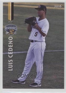 2016 Grandstand Charleston RiverDogs Luis Cedeno