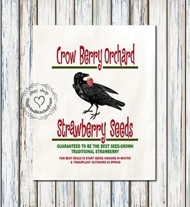 Crow Strawberry Seeds Fabric Panel #1241 - Picture 1 of 10