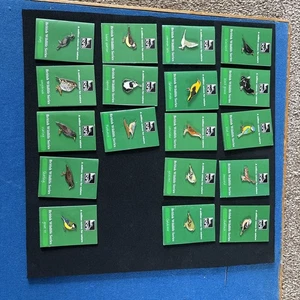 RSPB Badges - Picture 1 of 1
