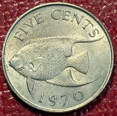 MONEDA DE 5 CENTAVOS PEZ ANFELFISH BERMUDAS DE ALTA CALIDAD XF 1970-DEC434 Foto 1 de 2