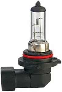 H10 Clear Halogen Bulb 12V 42 W PY20D 2pcs - Bild 1 von 1