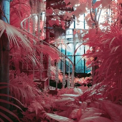 SONY APSC Infrared IRChrome Aerochrome IR Infrared Chrome Filter NEX 5 A5000 etc - Image 1 of 4