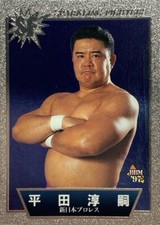 Junji Hirata SF 6 Pro-Wrestling BBM 1997 Fight magazine made in Japan F/S #2