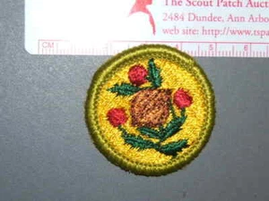 Boy Scout Merit Badge Fruit & Nut Growing circa '62-'71 2805M - Picture 1 of 1