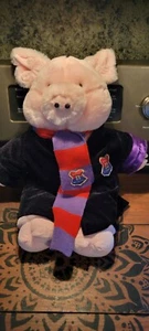 Harry Potter Build A Bear BAB Schwein Schwein Zauberer Robe Schal Hogwarts Schule Akademie - Bild 1 von 14
