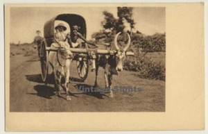 India: Mission Sister On Travel / Cow Cart (Vintage PC) - Imagen 1 de 1