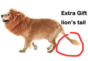 Lion Mane for Dog, Dogloveit Dog Costume with ears and Gift [Lion Tail] Lion Wig