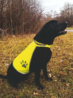 Personalised Korntex High Vis Dog Safety Vest  Add A Name  S M L - Image 1 of 2