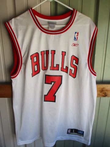 Ben Gordon Reebok Jersey Chicago Bulls Men's Large Cover
