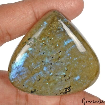 210.00 Ct Natural Blue Shine Labradorite Trillion Cab Loose Gemstone For Jewelry - Image 1 of 4