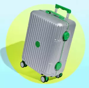 Drunk Elephant Trunk 8.0 Carry On 22" Suitcase NEW Silver Green Luggage Hardcase - Picture 1 of 4