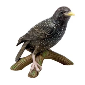Goebel Vogel des Jahres 2018 groß Star 12 cm  38-473-18-1 NEUWARE, OVP - Picture 1 of 1