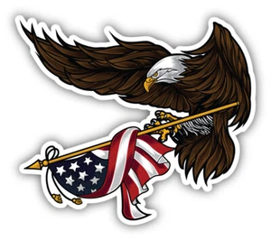 Calcomanía adhesiva de vinilo USA Eagle - Imagen 1 de 1