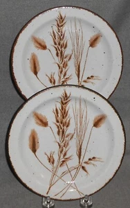 Set (2) Midwinter WILD HAFERMUSTER 7" Dessert- oder B&B-Teller MADE IN ENGLAND - Bild 1 von 9