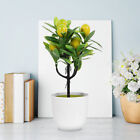 Lemon Tree Ornament for Summer Wedding Centerpieces