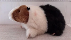 Folkmanis Folktails pupazzi porcellino d'India pupazzo realistico peluche 10" - Foto 1 di 11