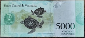 Billet 5000 Bolivares VENEZUELA 2017 tortue imbriquée Luisa Gaceres de Arismendi - Imagen 1 de 3