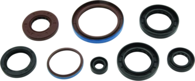 Juego de sellos de aceite QuadBoss para 12-14 Arctic Cat 550 4x4 EFI | 564596 Foto 1 de 4