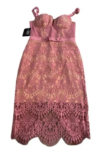 NWT Bebe Clarissa Seashell Lace Bustier Women's Size 2 Cocktail Party Dress Pink - Picture 1 of 14