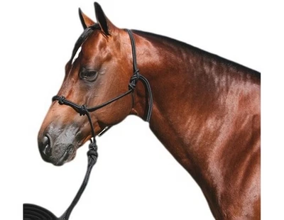 Professionals Choice Halter Clinician con 15' Nylon Plomo Negro HRC Foto 1 de 2