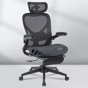FLEXISPOT Foldex Ergonomic Office Chair with Lumbar Support, Flip-up Armrests - Picture 1 of 61