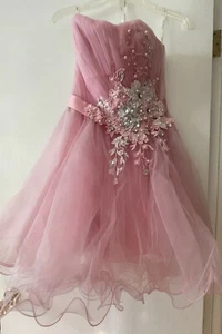Sherri Hill Pink Short Prom Dress Size 2 Sweet 16 Quincenera Bat Mitzvah Pageant - Picture 1 of 7