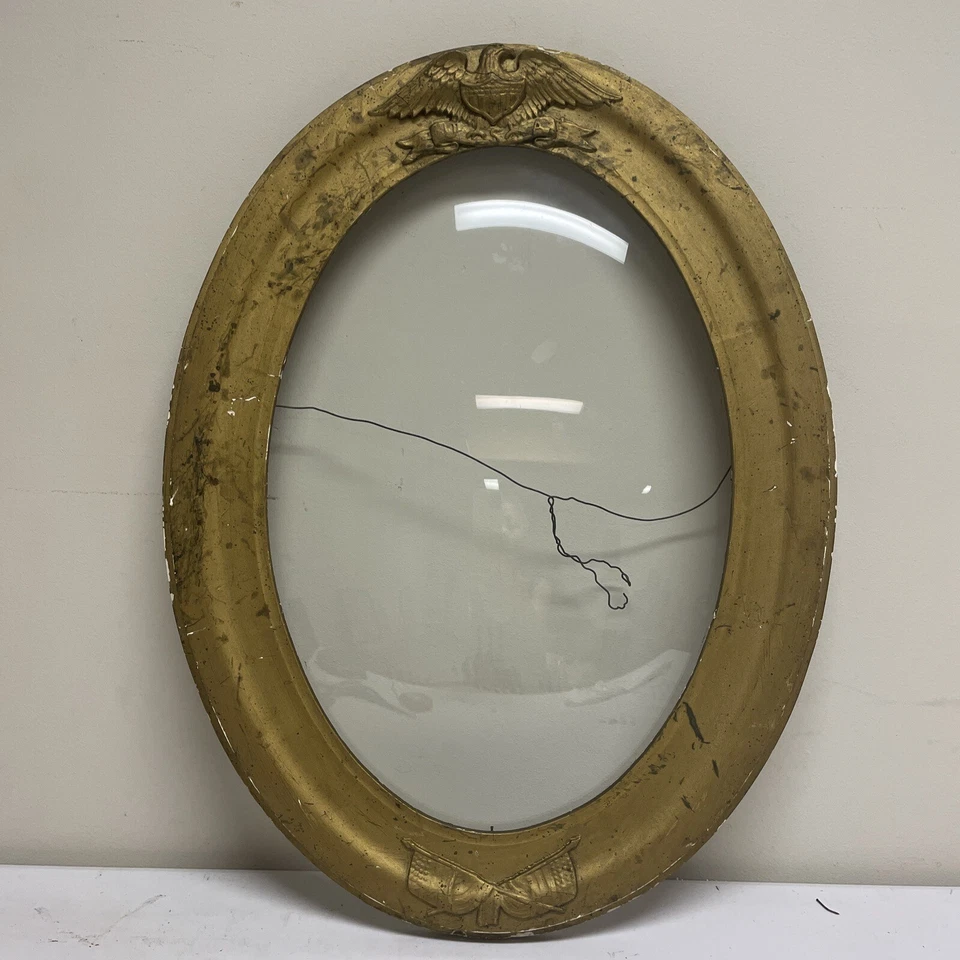RARO: Moldura oval antiga Federal Eagle & Flags madeira dourada com cúpula de vidro - Imagem 1 de 4