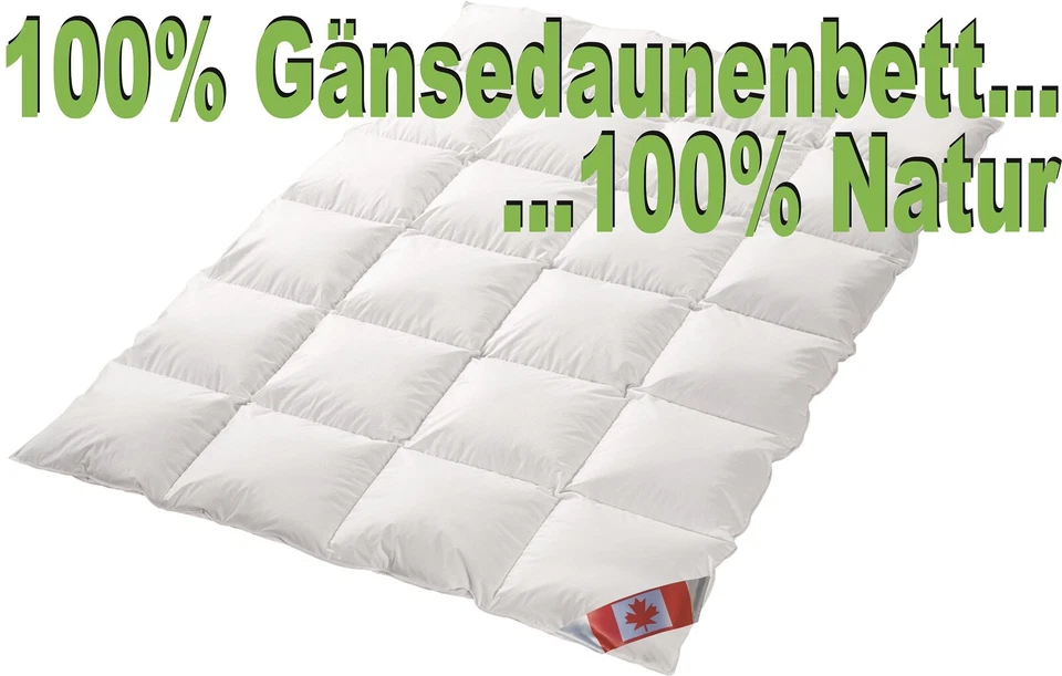 Polaris Premium Ganzjahresdecke 100% weiße Canada Gänsedaune 155x220 cm Pol 3 - Bild 1 von 1