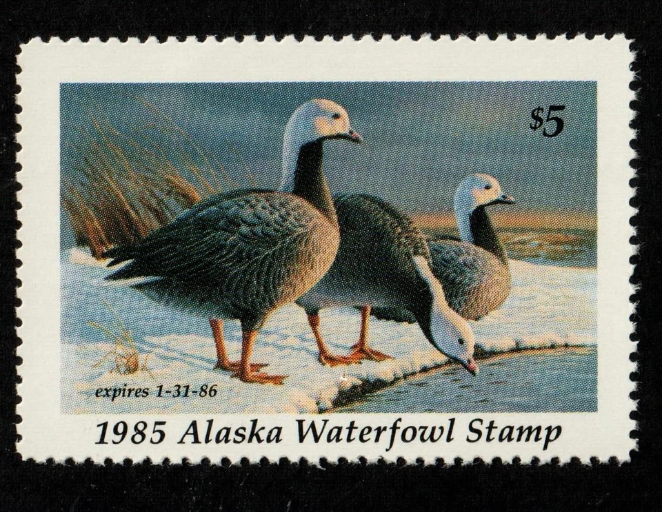 1985 $5.00 Alaska State Duck MNH Free Shipping in the USA!! - Image 1 of 1