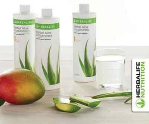 Herbalife Aloe Concentrate Mango (473ml)