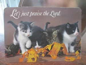 LET'S JUST PRAISE THE LORD, 4 KITTENS IN LEAVES UNUSED OLD CAT POST CARD - Picture 1 of 3