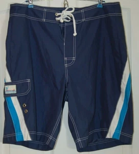 American Eagle Outfitters Boardshorts Swim Trunks Size 34 Blue - Picture 1 of 6