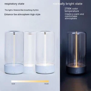 Neu LED Camping Licht Typ-C Wiederaufladbar Tragbar Nachtlicht mit Hoher Transparenz - Bild 1 von 11