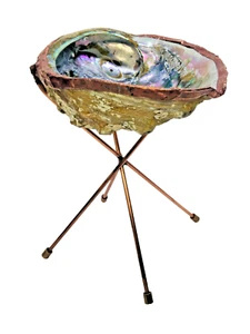 Koolfinds716 Seashell Tray Abalone Copper Hairpin Legs Bronze Feet Copper Foil - Picture 1 of 13